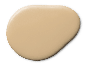 Coffee Biscuit