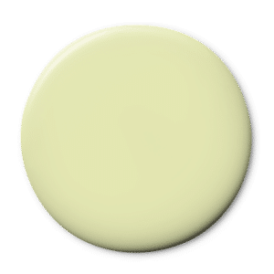 Fennel Bulb